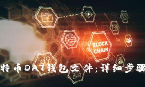 如何导入比特币DAT钱包文件：详细步骤与注意事项