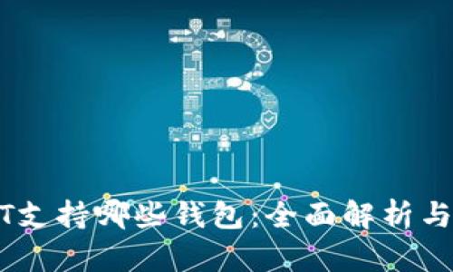 USDT支持哪些钱包：全面解析与推荐