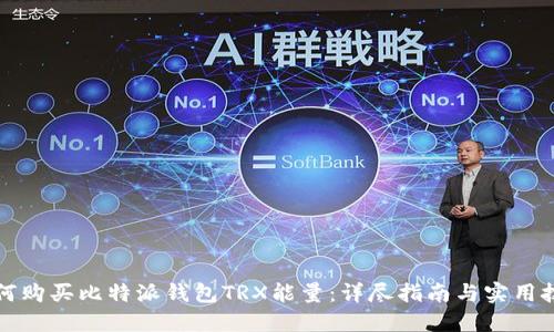 如何购买比特派钱包TRX能量：详尽指南与实用技巧