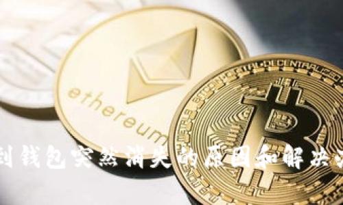 比特币到钱包突然消失的原因和解决办法分析
