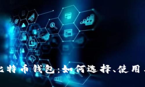 真正揭秘比特币钱包：如何选择、使用与安全管理