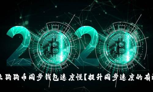 为什么狗狗币同步钱包速度慢？提升同步速度的有效方法