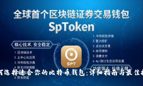 如何选择适合你的比特币钱包：详细指南与最佳推荐