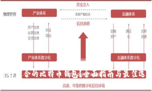 如何选择适合的比特币钱包？全面指南与最佳选项推荐