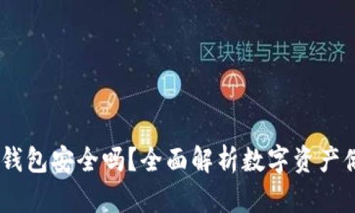 USDT放钱包安全吗？全面解析数字资产储存方式