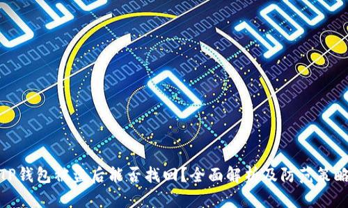 TP钱包被盗后能否找回？全面解析及防范策略