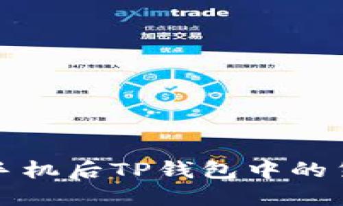 如何解决换手机后TP钱包中的货币丢失问题