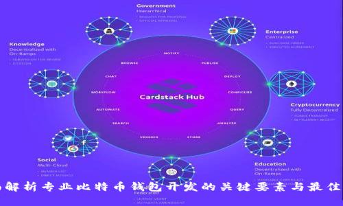 全面解析专业比特币钱包开发的关键要素与最佳实践