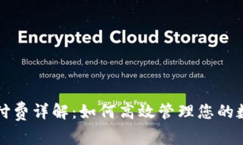 TP钱包付费详解：如何高效管理您的数字资产
