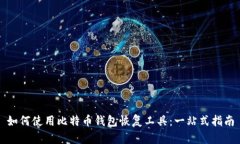 如何使用比特币钱包恢复