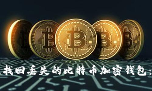 如何有效找回丢失的比特币加密钱包：详细指南