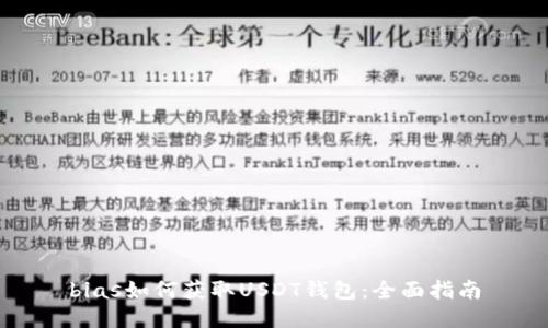 bias如何获取USDT钱包：全面指南