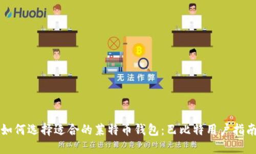 如何选择适合的莱特币钱包：巴比特用户指南