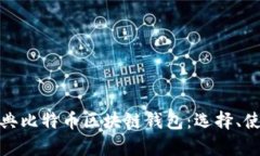 全面解析瑞典比特币区块链钱包：选择、使用与