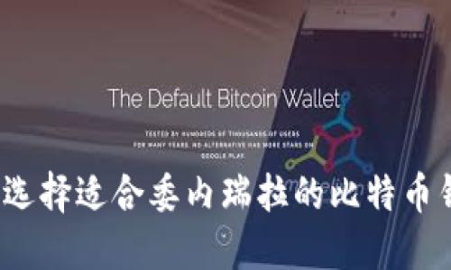如何选择适合委内瑞拉的比特币钱包？