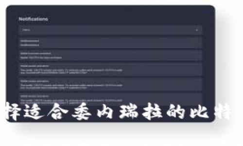 如何选择适合委内瑞拉的比特币钱包？