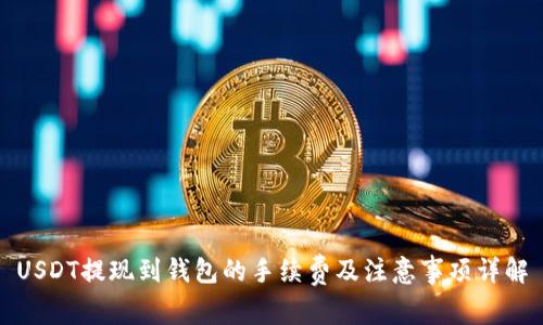USDT提现到钱包的手续费及注意事项详解