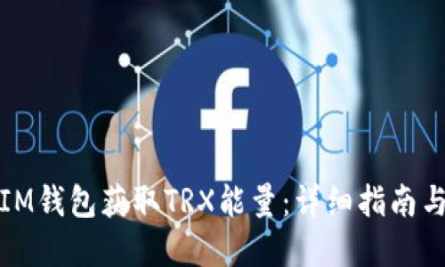如何通过IM钱包获取TRX能量：详细指南与实用技巧