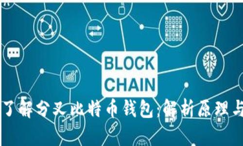 深入了解分叉比特币钱包：解析原理与应用