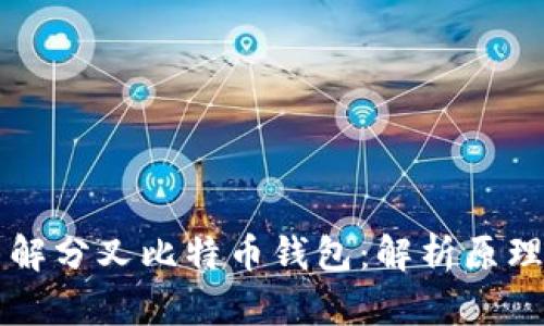 深入了解分叉比特币钱包：解析原理与应用