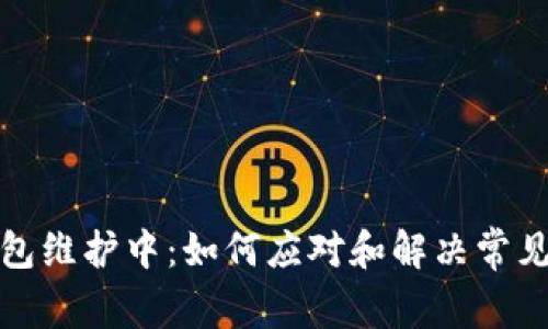 TP钱包维护中：如何应对和解决常见问题