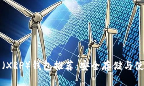 瑞波币（XRP）钱包推荐：安全存储与使用指南