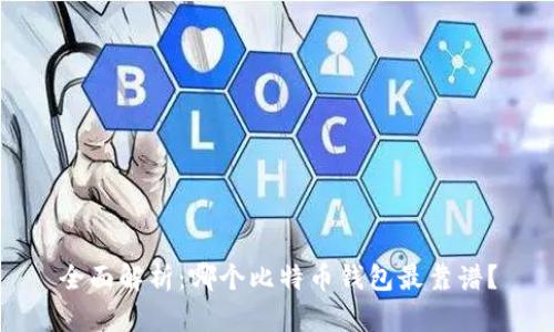 全面解析:哪个比特币钱包最靠谱?