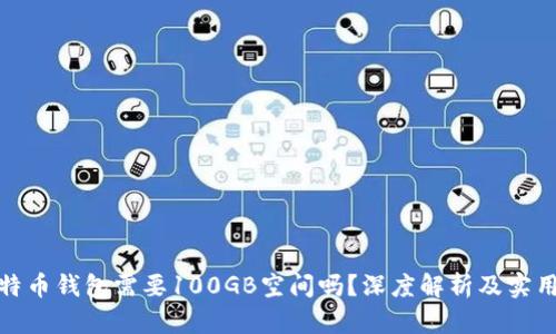 : 比特币钱包需要100GB空间吗？深度解析及实用指南