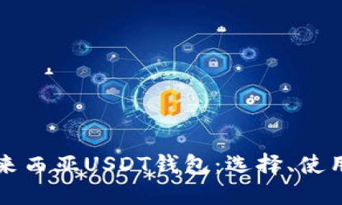 深入了解马来西亚USDT钱包：选择、使用与安全指南