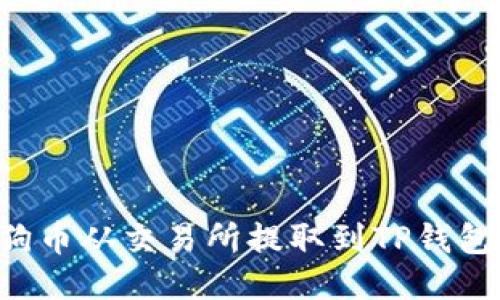 如何将狗狗币从交易所提取到TP钱包：详细指南