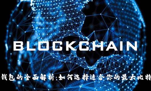 比特币钱包的全面解析：如何选择适合你的最大比特币钱包