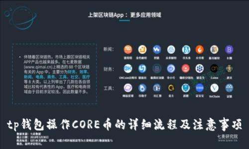 tp钱包操作CORE币的详细流程及注意事项