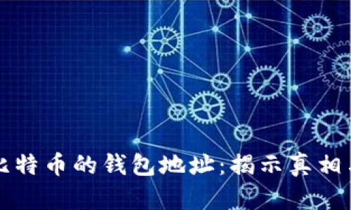 马斯克买比特币的钱包地址：揭示真相与投资策略