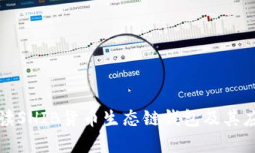全面解读SHIB货币生态链钱包及其应用前景