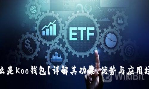 什么是Koo钱包？详解其功能、优势与应用场景