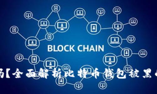 比特币钱包安全吗？全面解析比特币钱包被黑的风险与防护策略