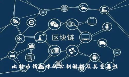 比特币钱包中的公钥解析及其重要性