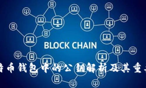 比特币钱包中的公钥解析及其重要性