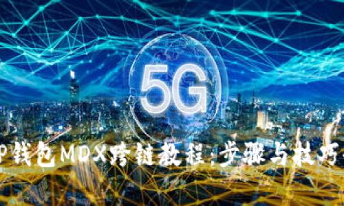 详解TP钱包MDX跨链教程：步骤与技巧全解析