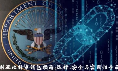 
澳大利亚比特币钱包指南：选择、安全与实用性全面解析