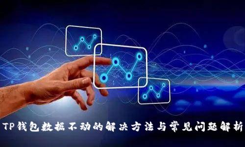 TP钱包数据不动的解决方法与常见问题解析