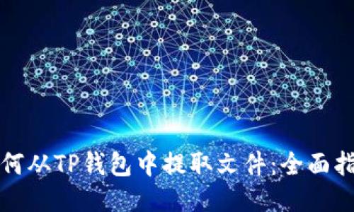 如何从TP钱包中提取文件：全面指南