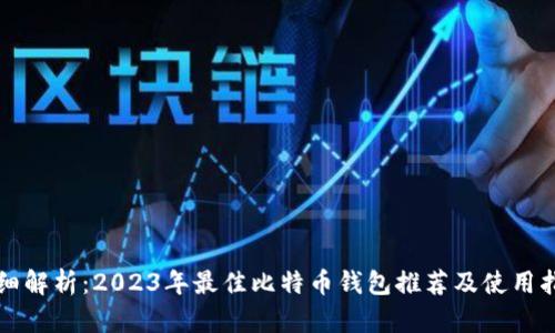 详细解析：2023年最佳比特币钱包推荐及使用指南