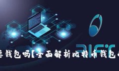 买比特币必须要钱包吗？全面解析比特币钱包的