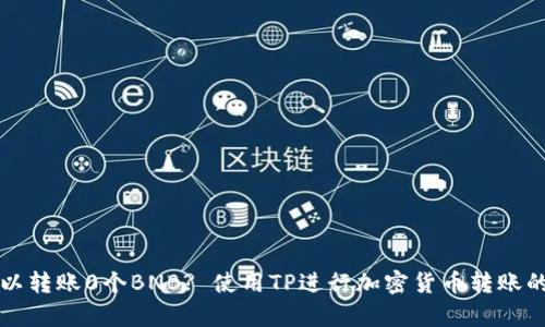 TP是否可以转账0个BNB? 使用TP进行加密货币转账的全面解析